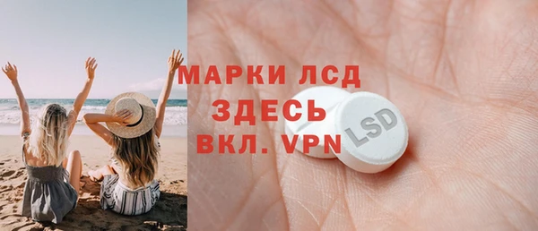 сатива Аркадак