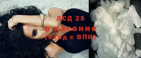 сатива Аркадак