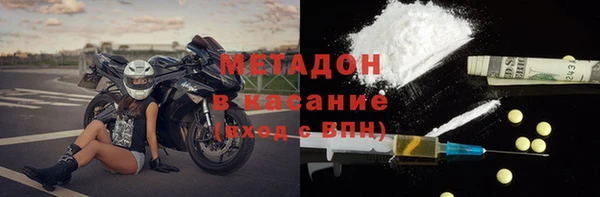 сатива Аркадак