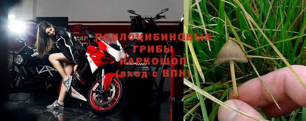 сатива Аркадак