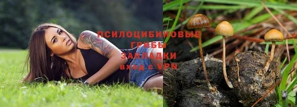 а пвп мука Алзамай