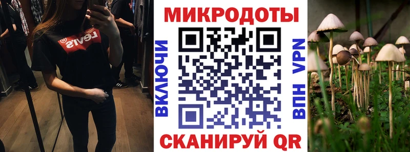 Галлюциногенные грибы Psilocybine cubensis  купить   Ленинск 